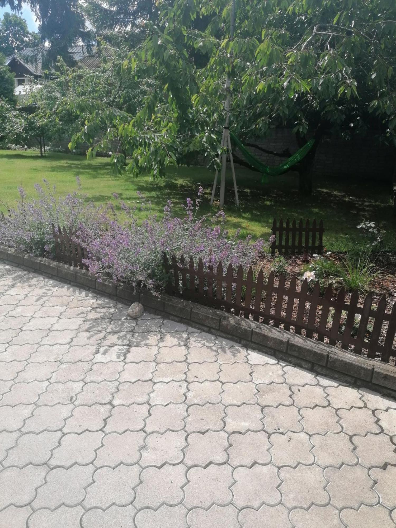 Apartment In Central Trakai Dış mekan fotoğraf